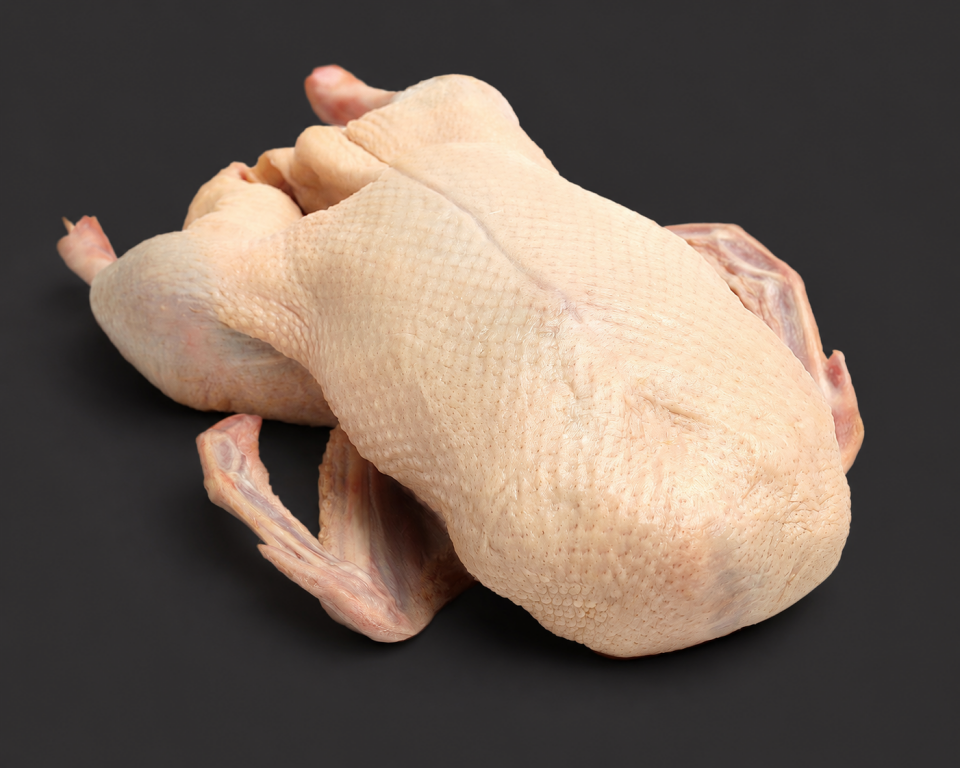 Taze Kesim Kars Kazı 3.500 GR